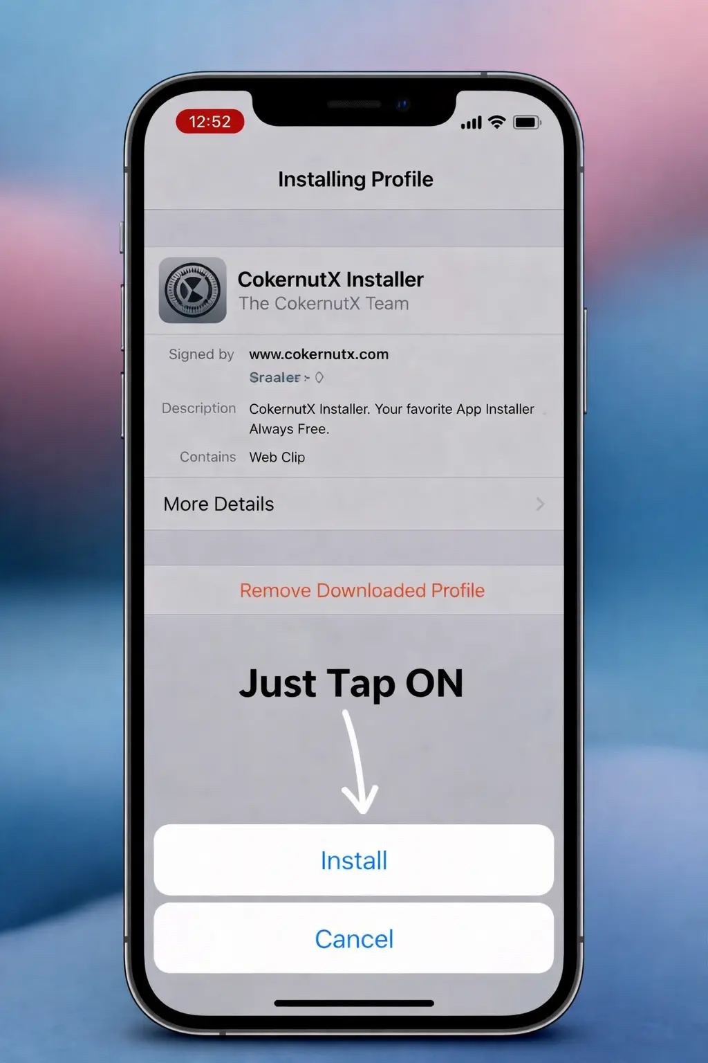 Install CokernutX profile on iOS device