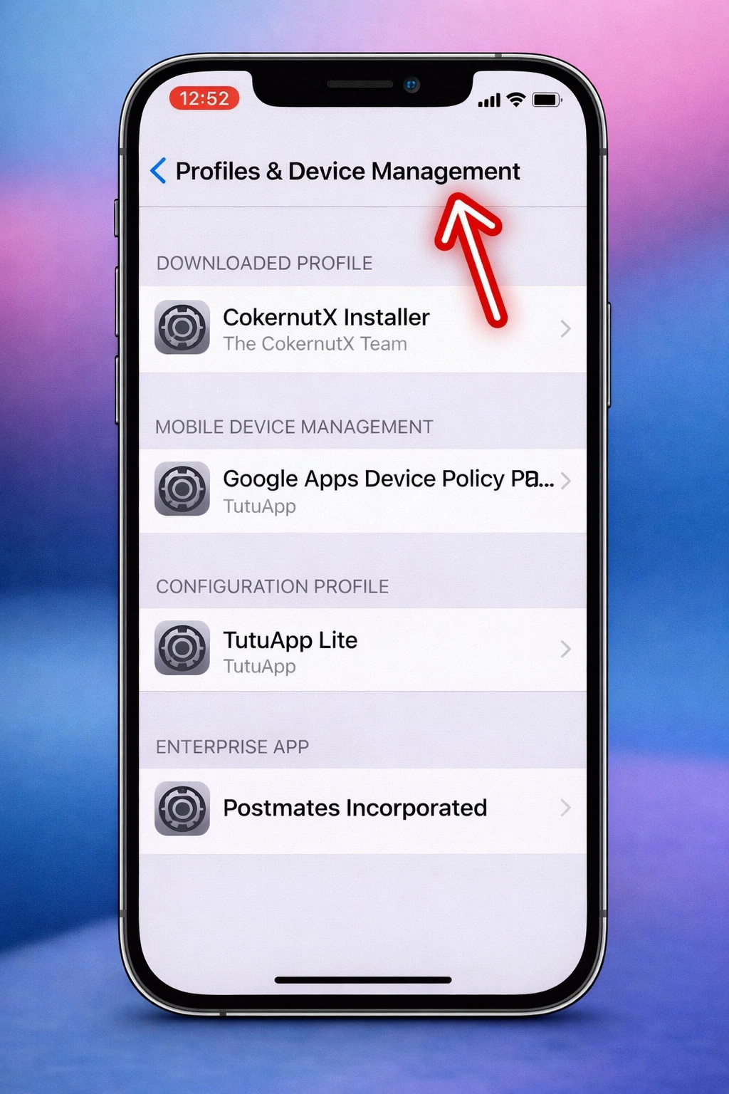 Open Profiles and Device Management in iPhone settings