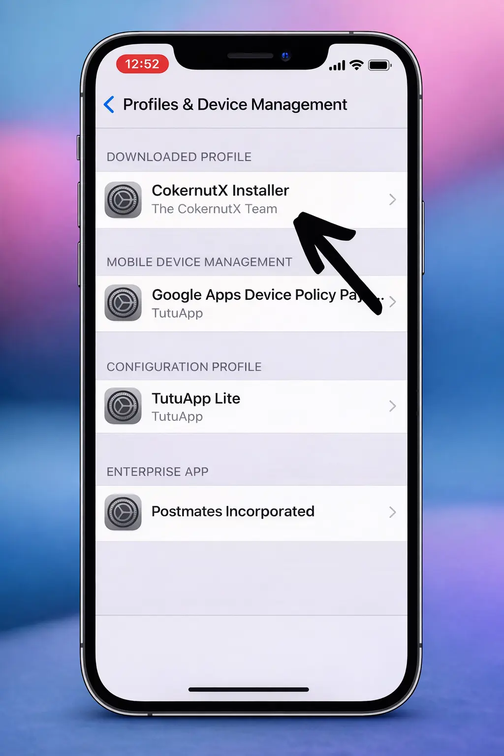 Select CokernutX installer profile on iPhone